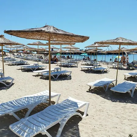 Green, Quiet And Beautiful 2! *